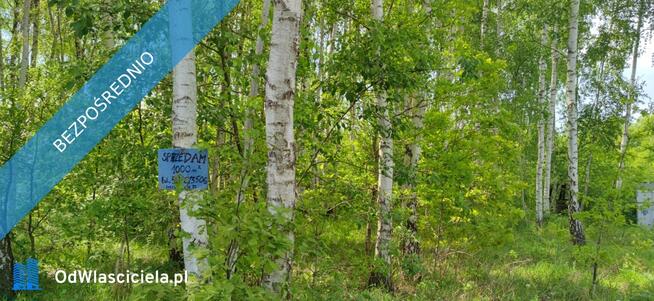 Działka Budowlana 1000 m² Prażmów Błonie