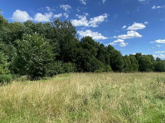 Działka budowlana Frydrychowice gm. Wieprz