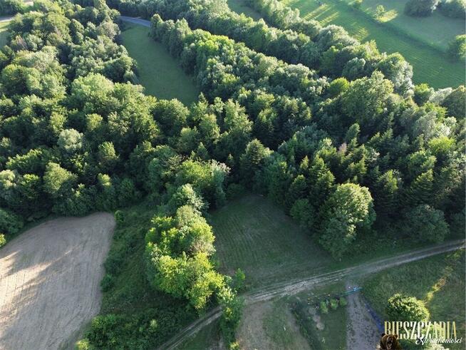 Działka w Bieszczadach - Wołkowyja!