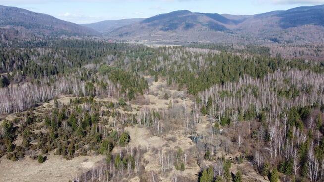 Atrakcyjna działka budowlana, gm. Cisna