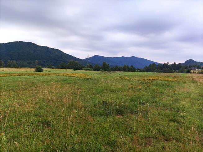 Widokowa działka budowlana w Bieszczadach!