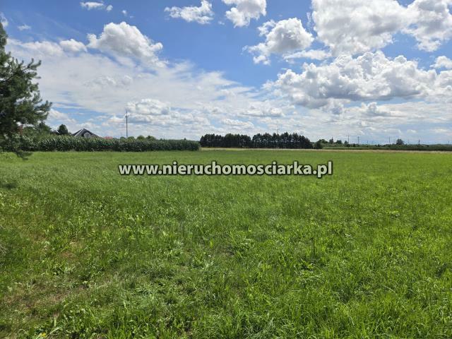 Działka budowlana Bełsznica gm. Gorzyce