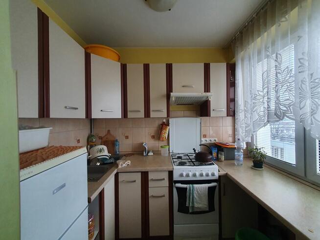 Mieszkanie do wynajęcia