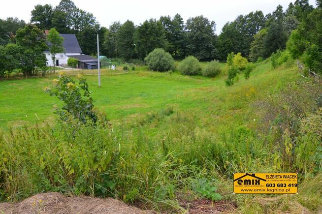 Lokal z możliwością przekształcenia na dom, działka 2800m2