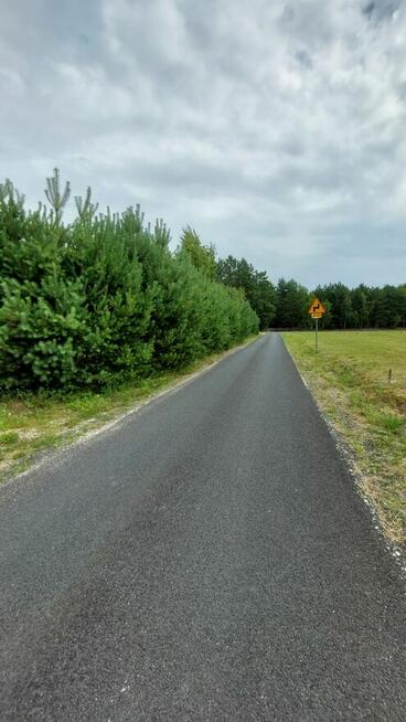 Działka warunki zabudowy Kowal Grodztwo Dębniaki - 1500 m2
