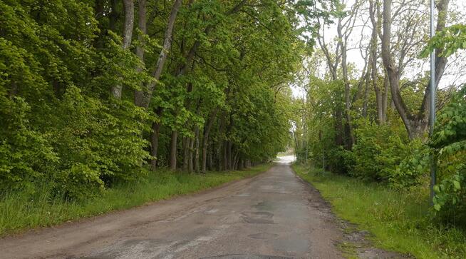 Działka niedaleko Gdańsk