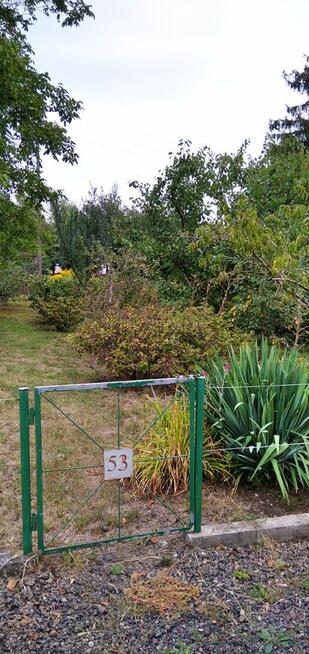 Działka ROD na sprzedaż