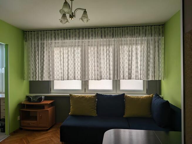 Mieszkanie do wynajęcia