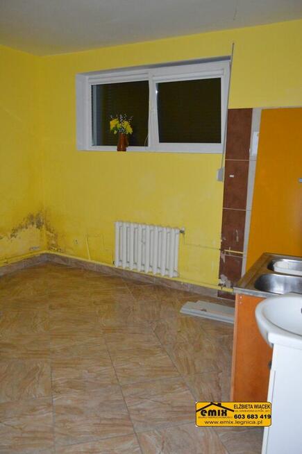 Lokal z możliwością przekształcenia na dom, działka 2800m2