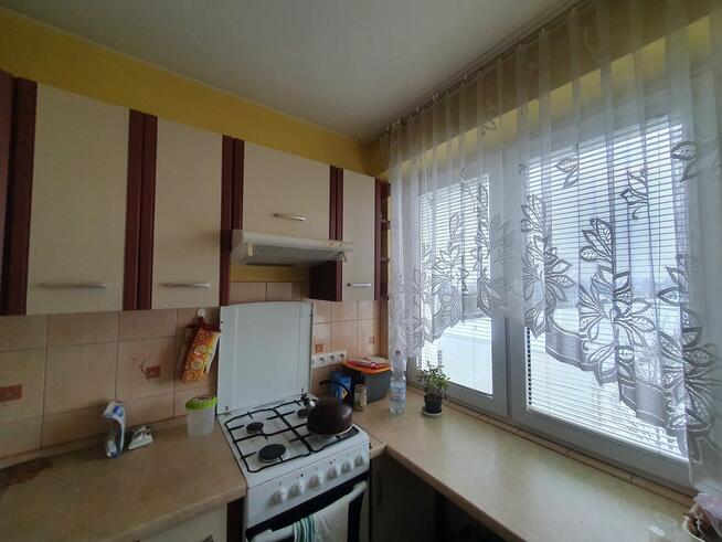 Mieszkanie do wynajęcia