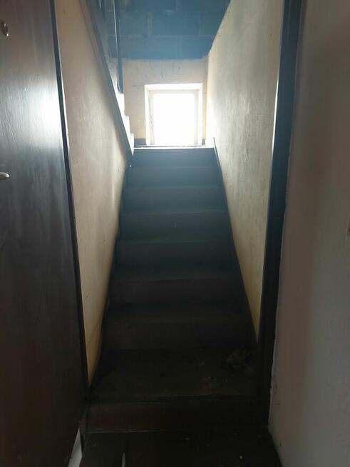 Wolne lokale nieruchomość