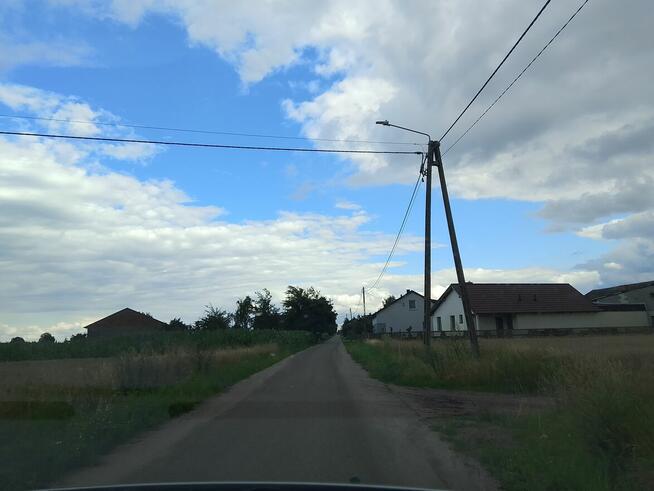 Sprzedam działkę leśną w Zbiersku