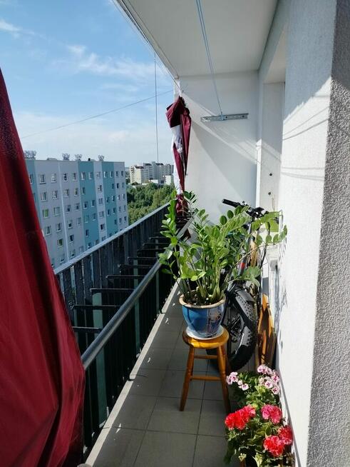 Sprzedam duża kawalerkię z balkonem