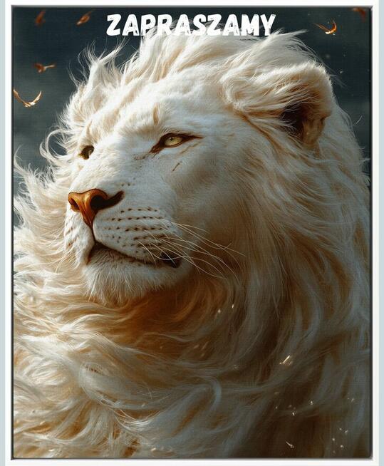 Pomalowani Radosław Wolny