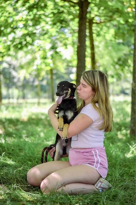 Lelek-młody, skrzywdzony psiak czeka na wyrozumiały dom