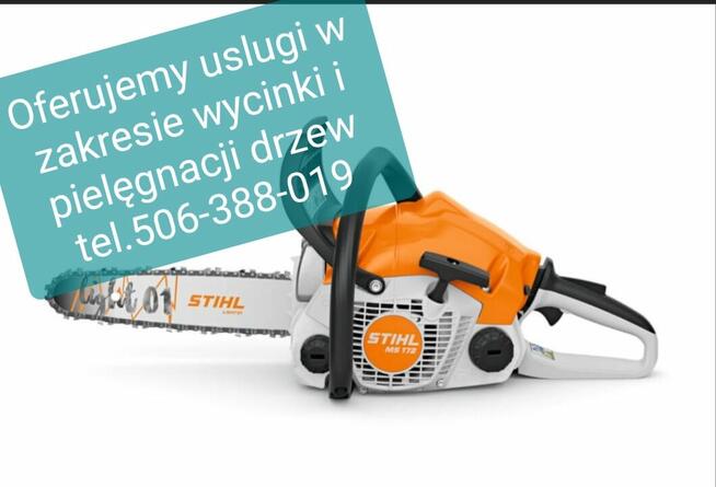 Wycinka drzew