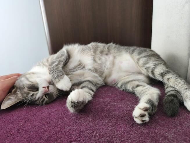 Miłość, przyjaźń