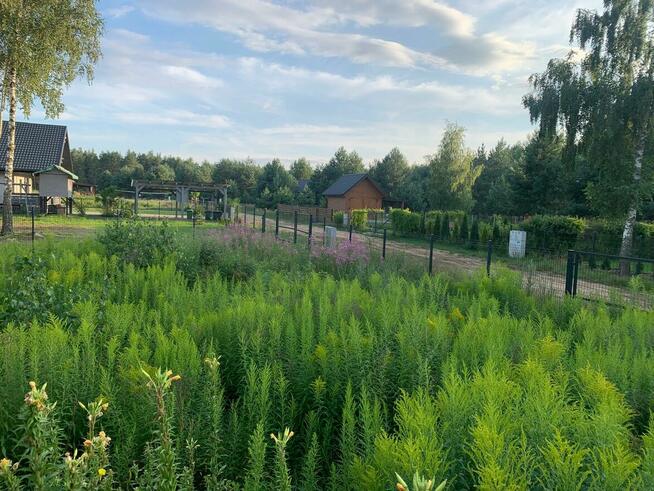 Sprzedam działkę nad Siemianówką.