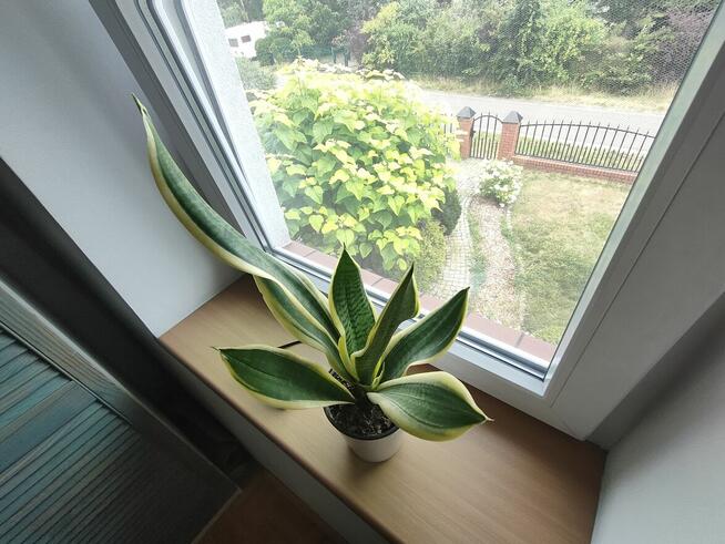 DOM - Turawa-Marszałki fotowoltaika i pompa ciepła