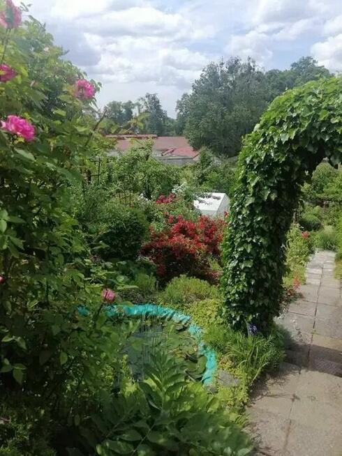 Rodzinny Ogród Działkowy ROD w centrum Bartoszyce