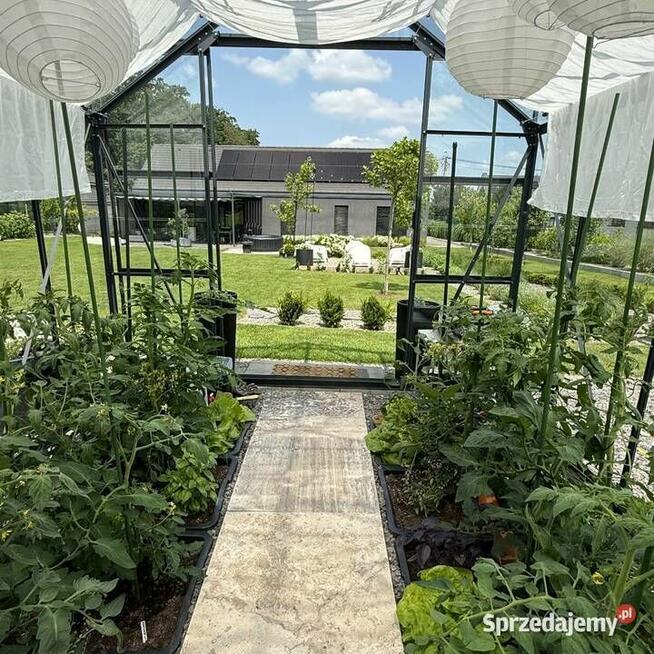 Płytki Trawertyn Silver Ash bębnowany 61x61x3 cm