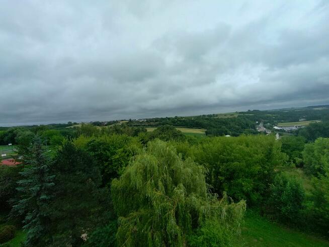 Wynajmę mieszkanie w Miechowie