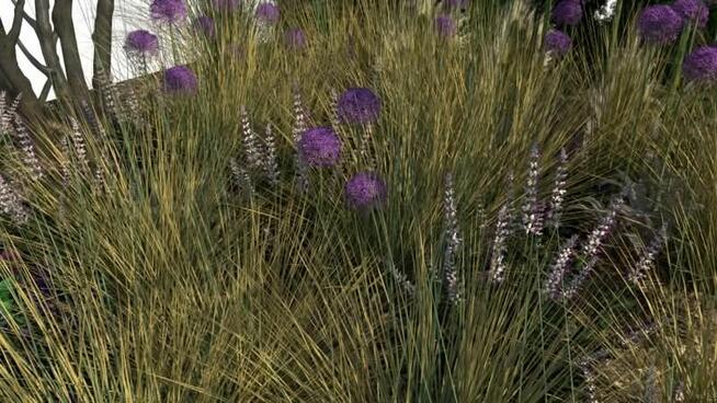 Projektowanie ogrodów