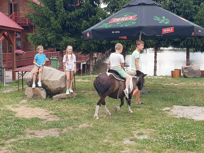 Noclegi, pokoje z łazienkami, duży parking, łowisko, sauna