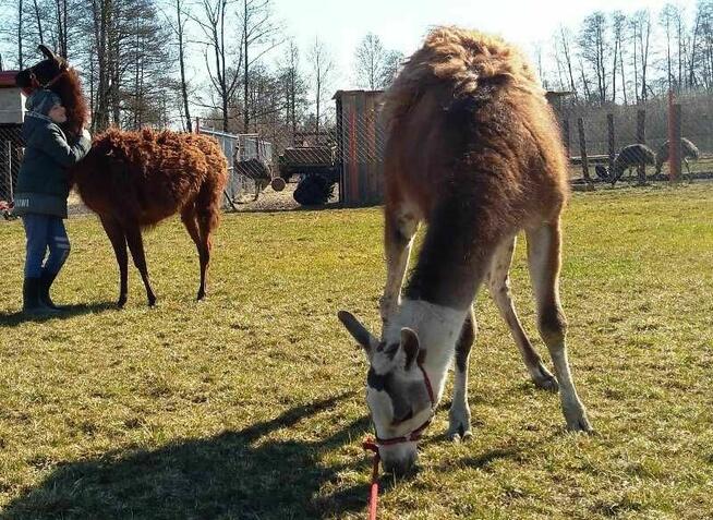 Noclegi, pokoje z łazienkami, duży parking, łowisko, sauna