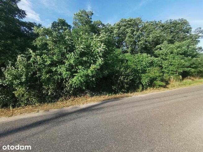 Sprzedam działkę rolną - 48 500 m2