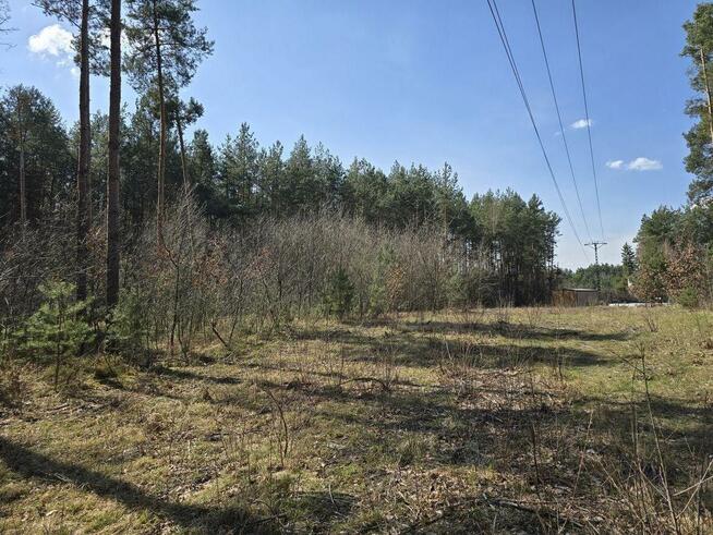 Dzialka w Milkowskiej Karczmie