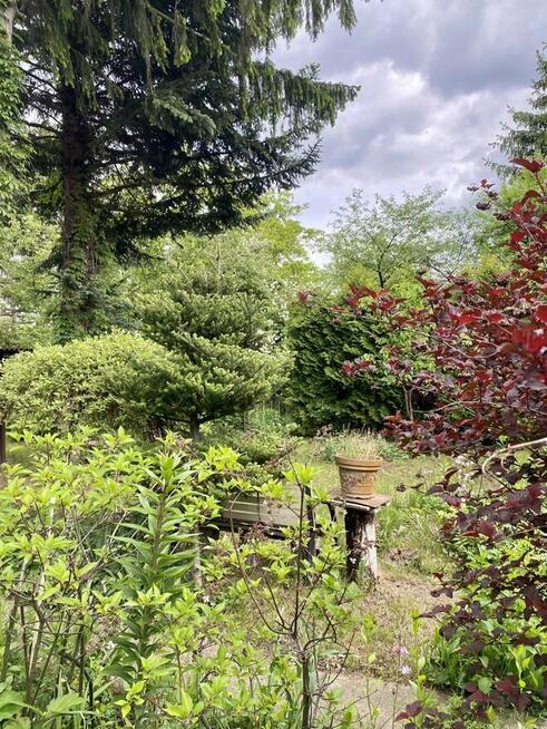 Sprzedam Działkę-Ogródek ROD