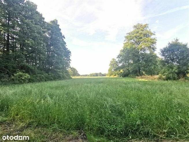 Sprzedam działkę rolną - 48 500 m2