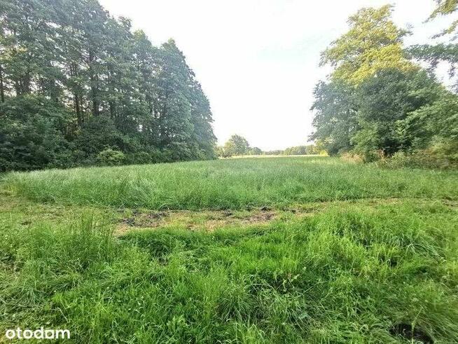 Sprzedam działkę rolną - 48 500 m2