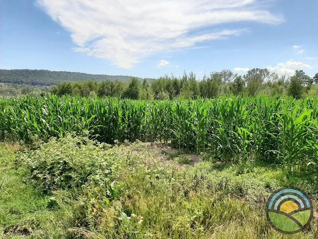 Więckowice gm. Zabierzów - działka 3200 m2