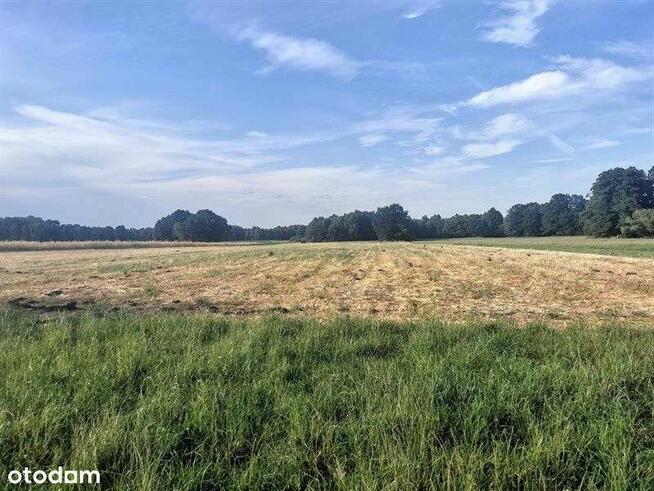 Sprzedam działkę rolną - 48 500 m2