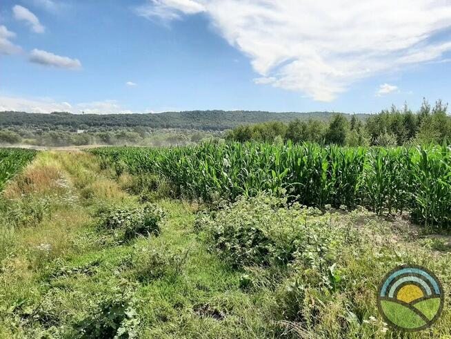 Więckowice gm. Zabierzów - działka 3200 m2