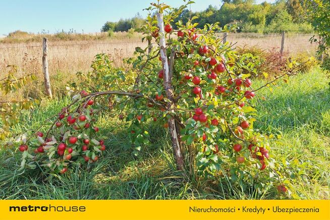 Działka z warunkami zabudowy blisko Ustki! 1500 m2