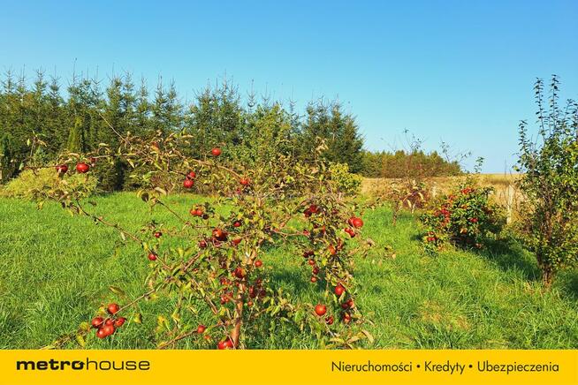 Działka z warunkami zabudowy blisko Ustki! 1500 m2