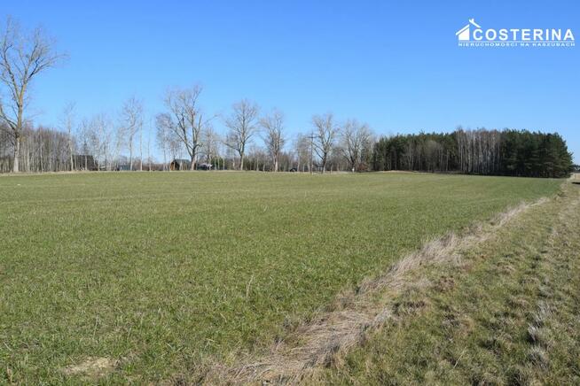 Działka budowlana Liniewo