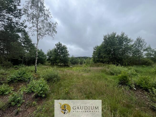 Działka rekreacyjna z linią brzegową!!