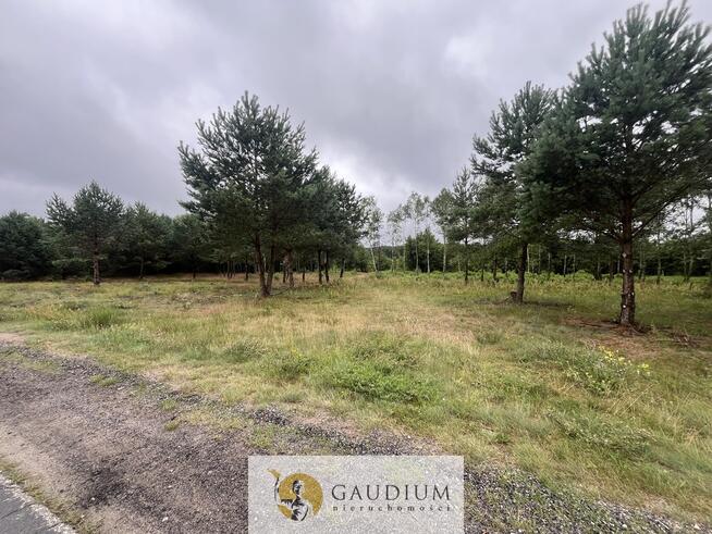 Działka rekreacyjna z linią brzegową!!