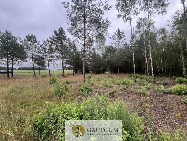 Działka rekreacyjna z linią brzegową!!