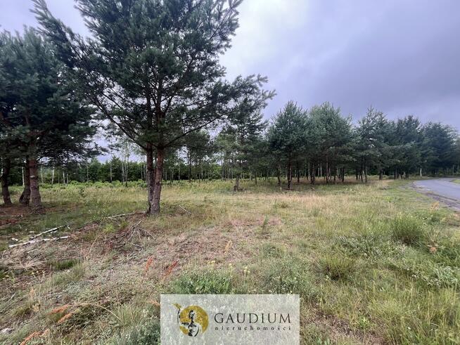 Działka rekreacyjna z linią brzegową!!