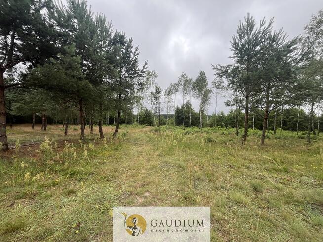 Działka rekreacyjna z linią brzegową!!