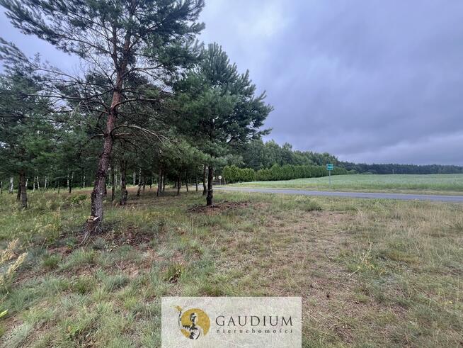 Działka rekreacyjna z linią brzegową!!