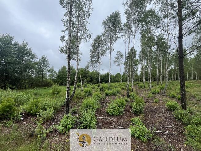 Działka rekreacyjna z linią brzegową!!