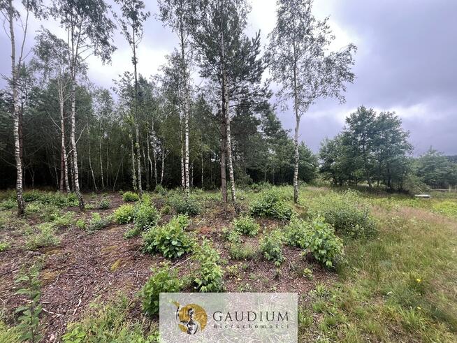 Działka rekreacyjna z linią brzegową!!