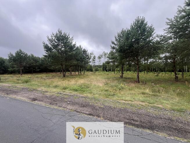 Działka rekreacyjna z linią brzegową!!