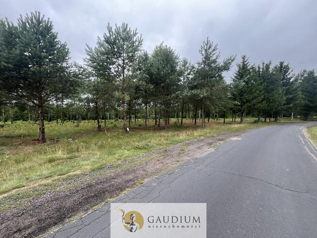 Działka rekreacyjna z linią brzegową!!